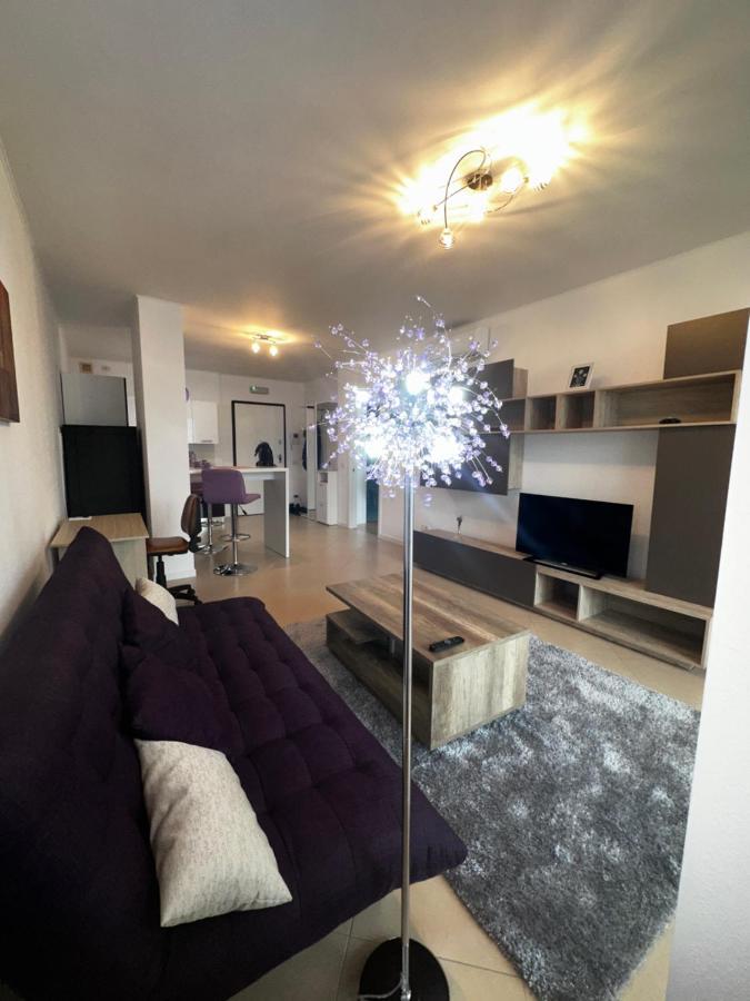 Central Apartment 티미쇼아라 외부 사진