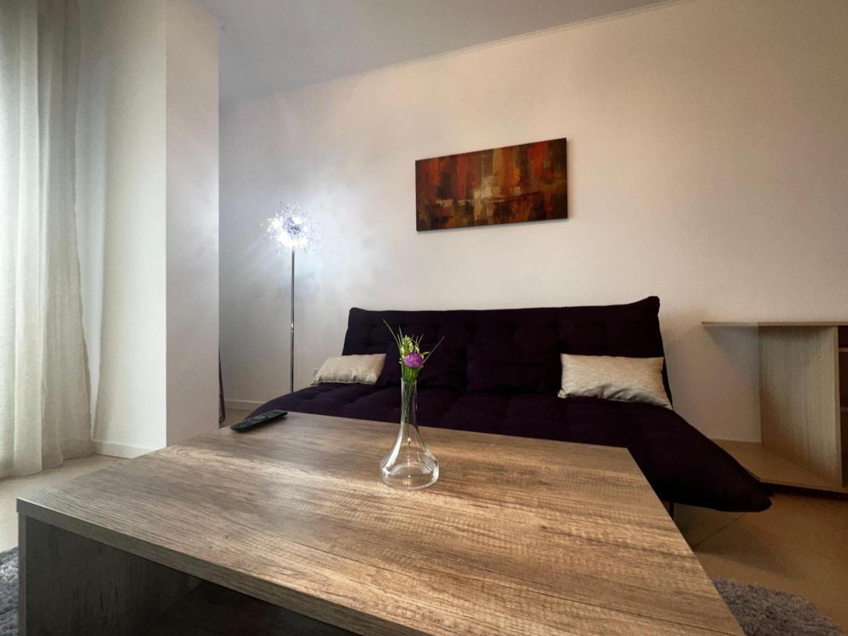 Central Apartment 티미쇼아라 외부 사진