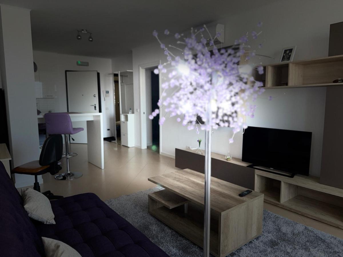 Central Apartment 티미쇼아라 외부 사진