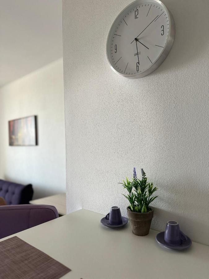 Central Apartment 티미쇼아라 외부 사진