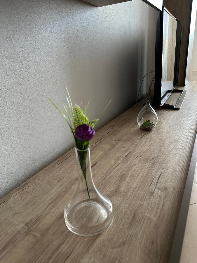 Central Apartment 티미쇼아라 외부 사진